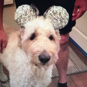 Meet your Posher, Erica